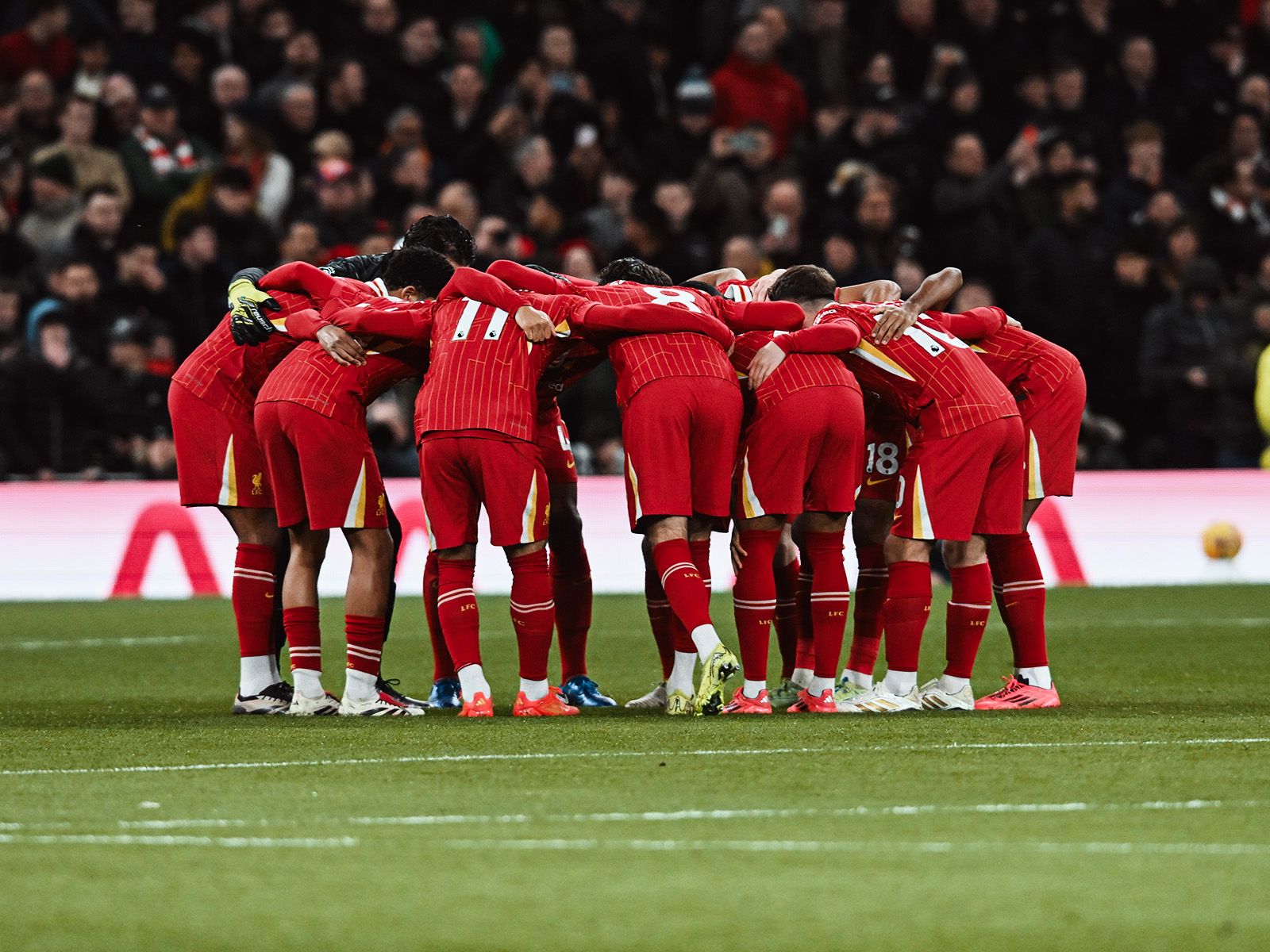 怀特单场至少命中9记三分场次追平绿军最高纪录（怀特单场9+三分命中场次追平凯尔特人队史最高纪录）